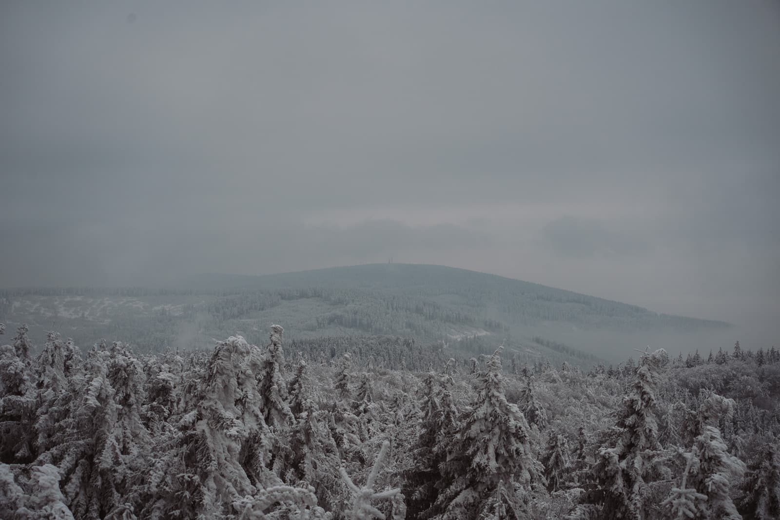Frozen landscape in soft morning light