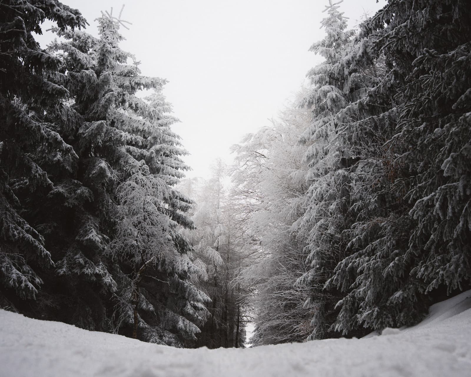 Last light on frozen mountain ridge